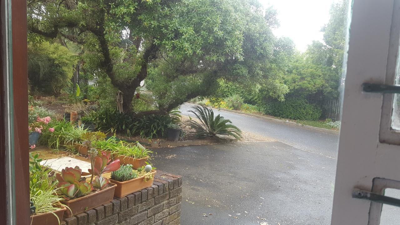 Pelikaan 9 Lägenhet Stellenbosch Exteriör bild